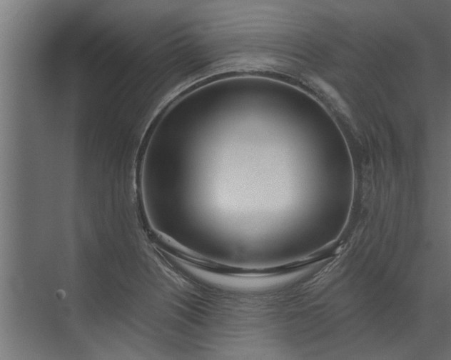 X0000073851226200608241034