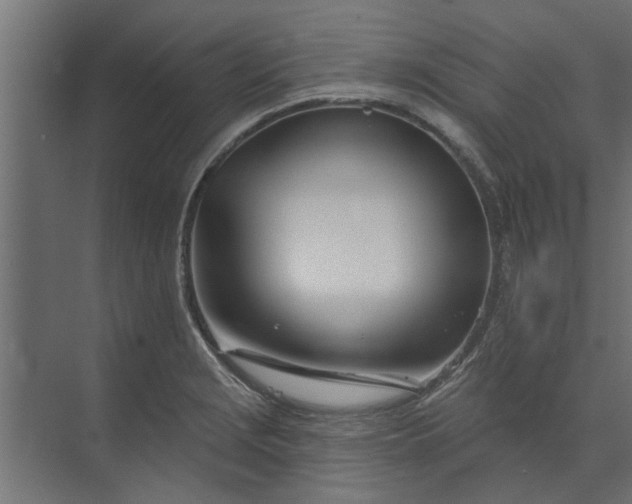 X0000073851229200608241034