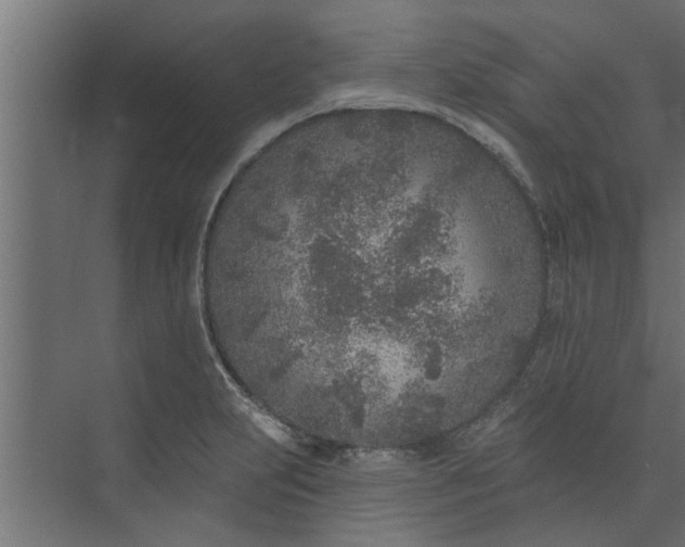 X0000073851231200608241034