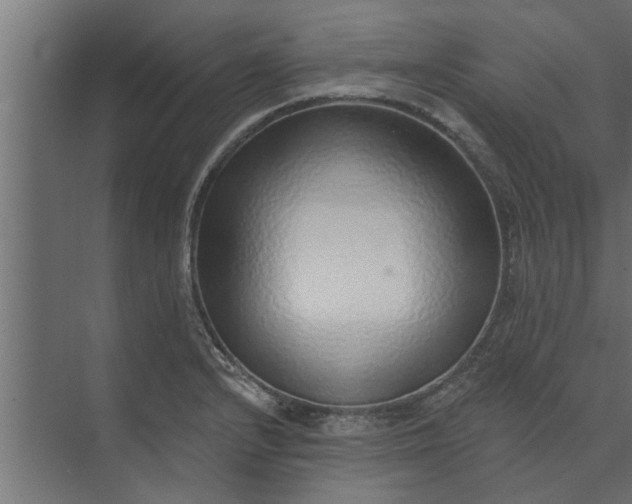 X0000073851232200608241034