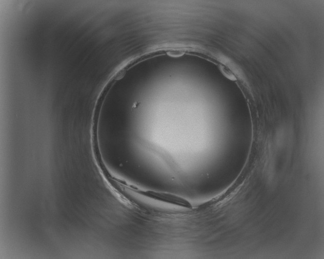 X0000073851237200608241034