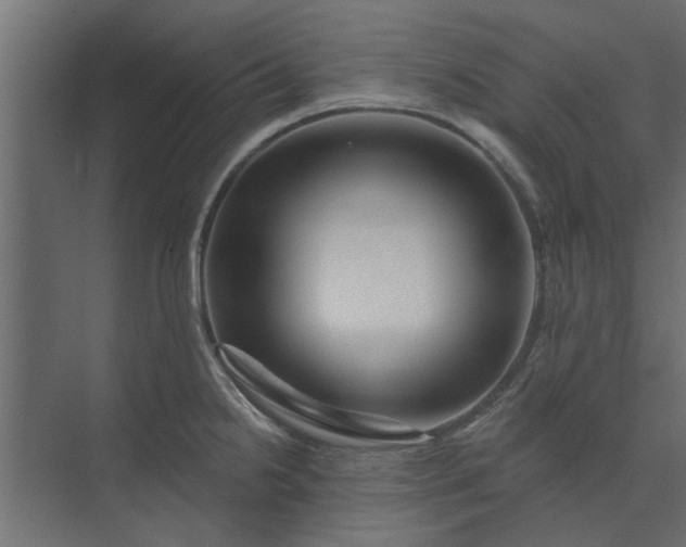 X0000073851238200608241034