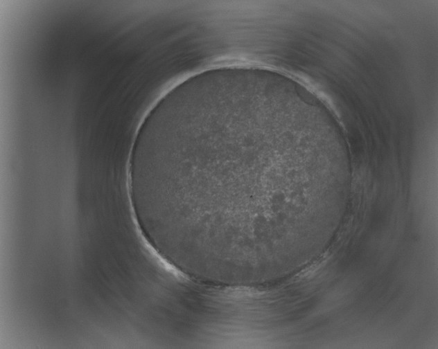 X0000073851239200608241034