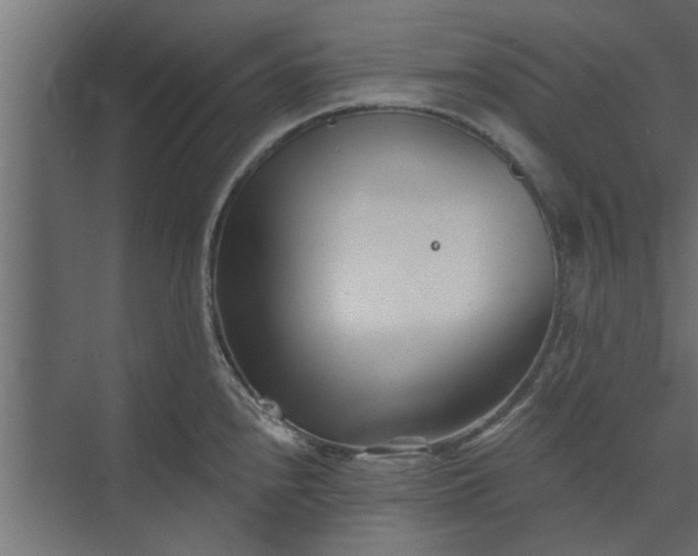 X0000073851240200608241034