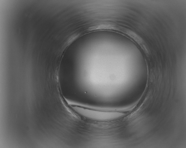 X0000073851241200608241034