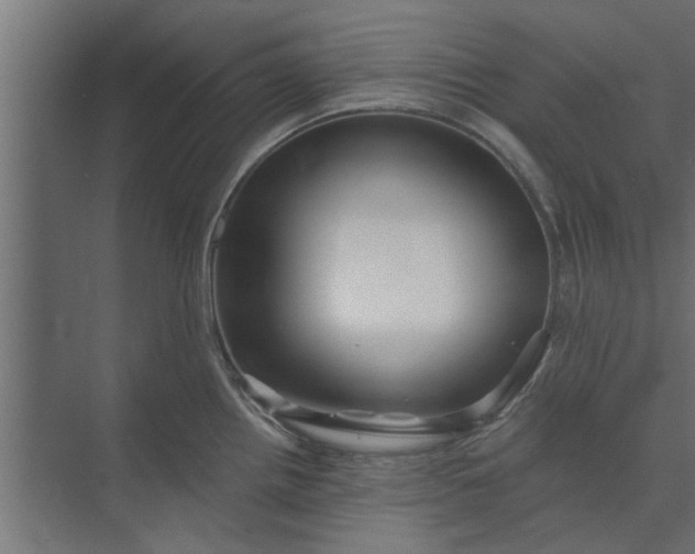 X0000073851242200608241034