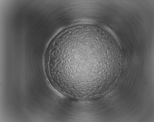 X0000073851243200608241034