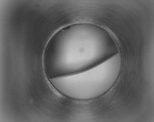 X0000073851246200608241034