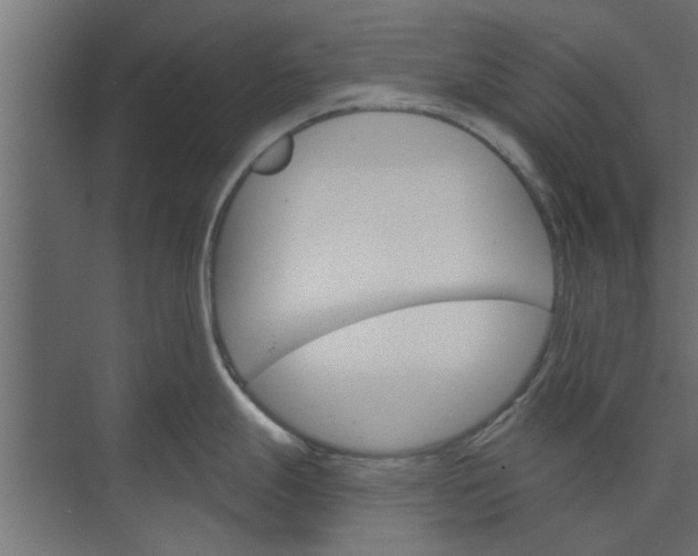 X0000073851247200608241034