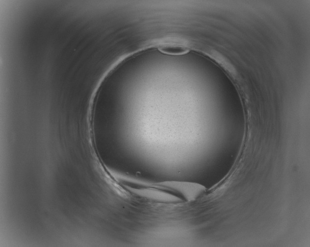 X0000073851248200608241034