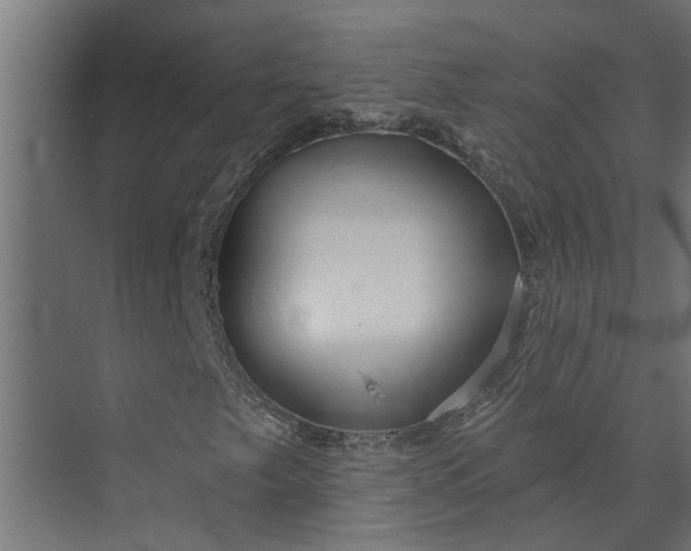 X0000073851249200608241034