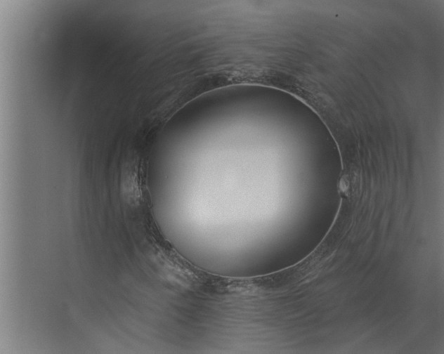 X0000073851250200608241034