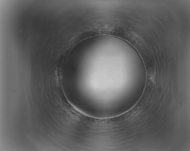 X0000073851252200608241034