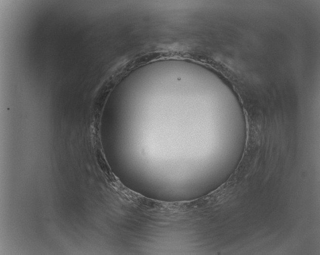 X0000073851254200608241034