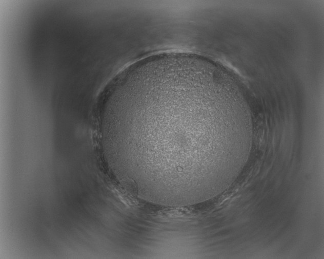 X0000073851255200608241033