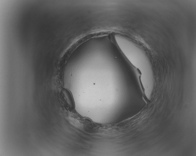 X0000073851256200608241033