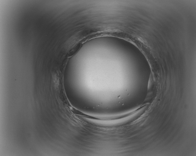 X0000073851257200608241033