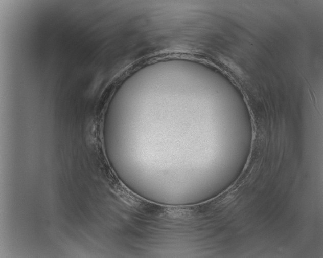 X0000073851258200608241033