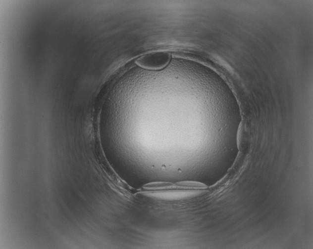 X0000073851259200608241033