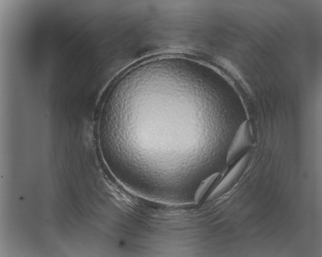 X0000073851260200608241033