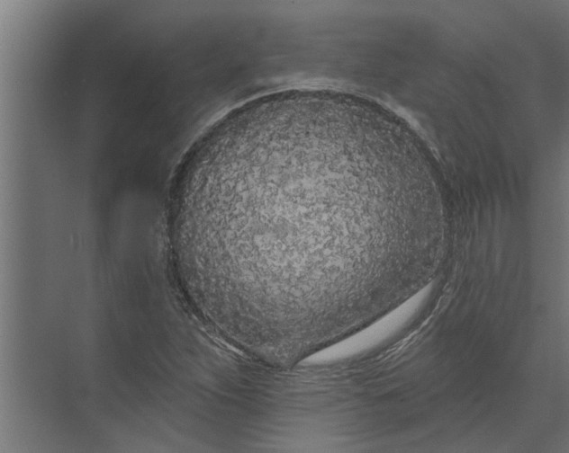 X0000073851263200608241033