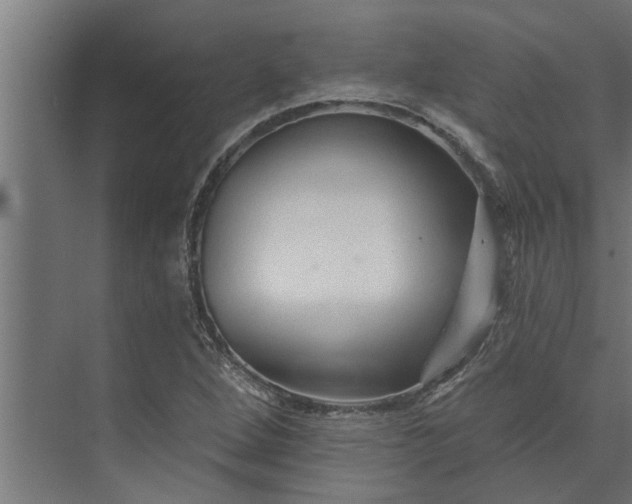 X0000073851264200608241033