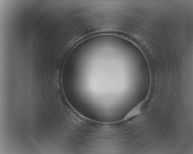 X0000073851265200608241033