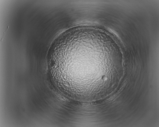 X0000073851267200608241033