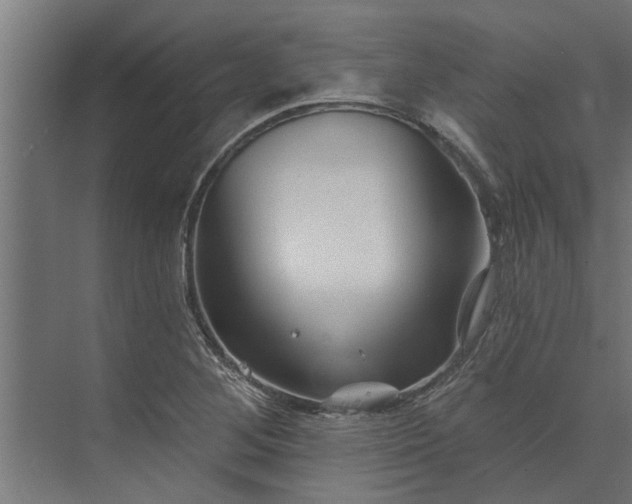 X0000073851268200608241033