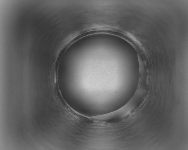 X0000073851269200608241033