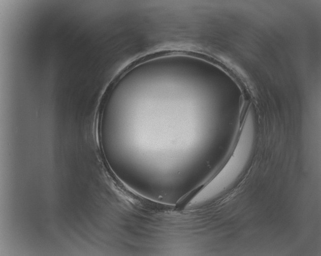 X0000073851272200608241033