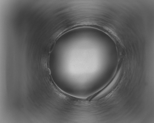 X0000073851273200608241033