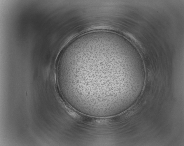 X0000073851274200608241033