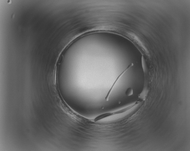 X0000073851276200608241033