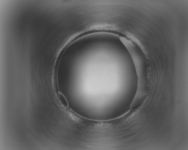 X0000073851277200608241033