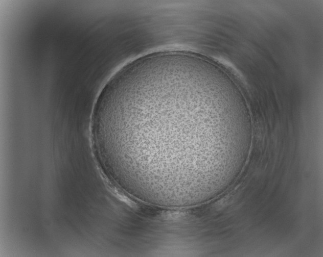 X0000073851278200608241033