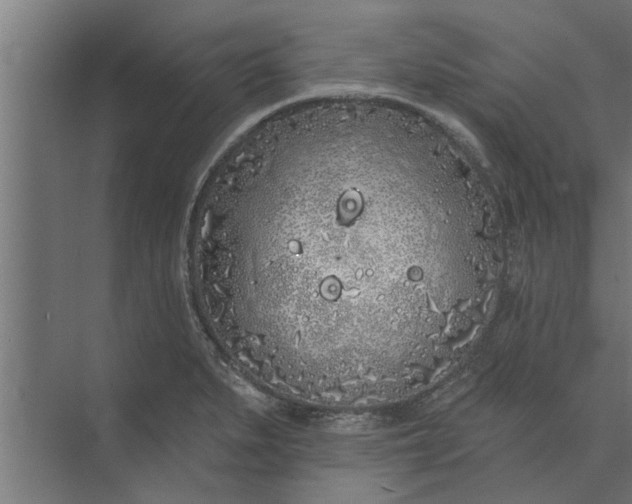 X0000073851279200608241033