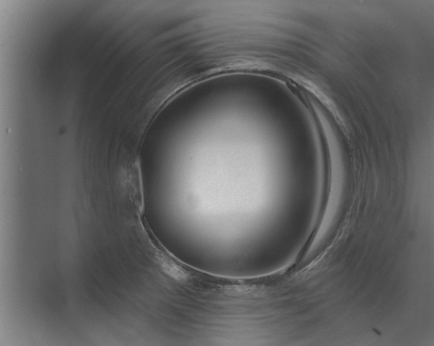 X0000073851281200608241033