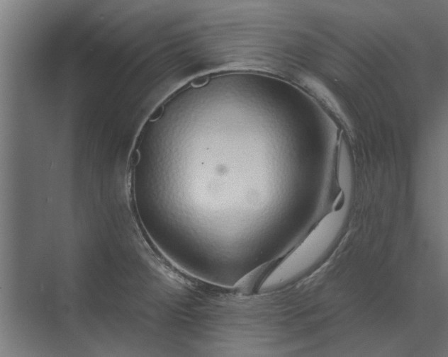 X0000073851284200608241033