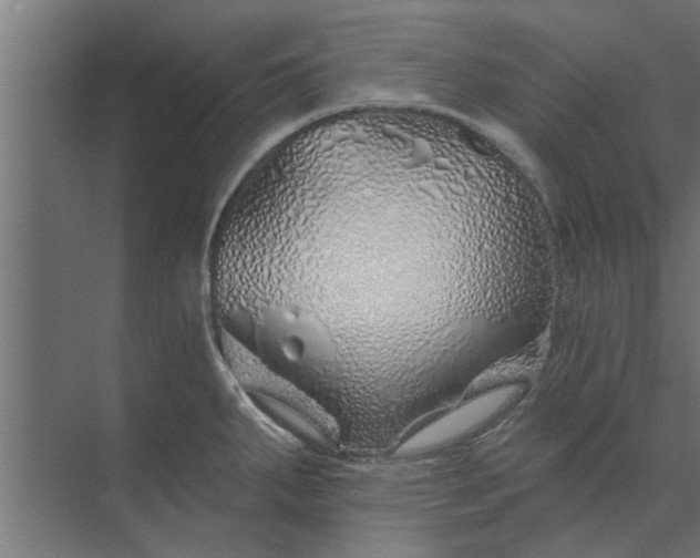 X0000073851287200608241033