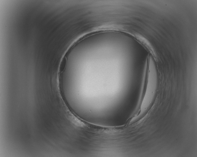 X0000073851288200608241033