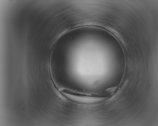 X0000073851289200608241033