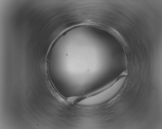 X0000073851292200608241033