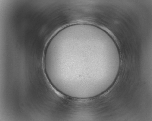 X0000073851294200608241033