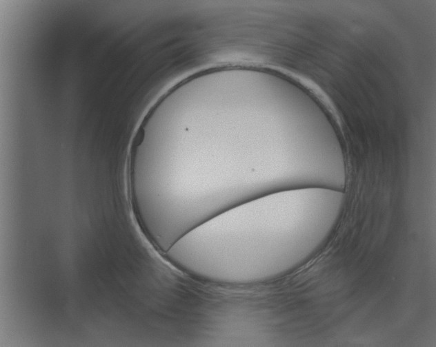 X0000073851295200608241033