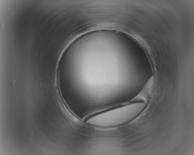 X0000073851296200608241033