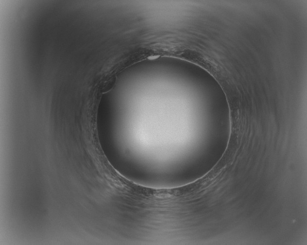 X0000073851297200608241032