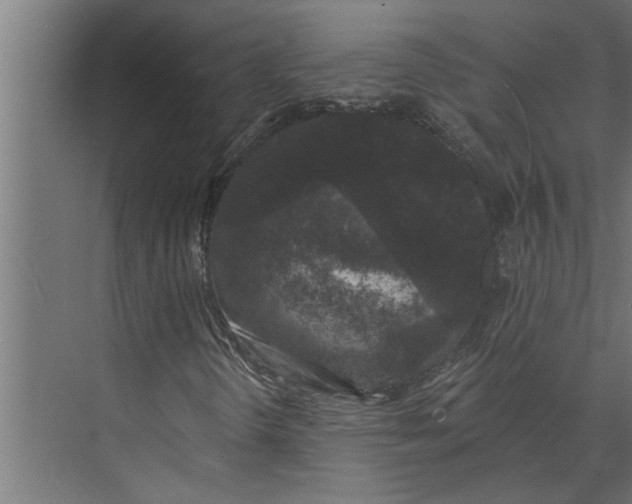 X0000073851298200608241032