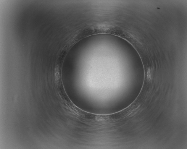 X0000073851299200608241032