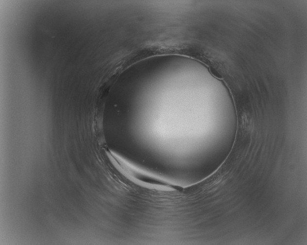 X0000073851300200608241032